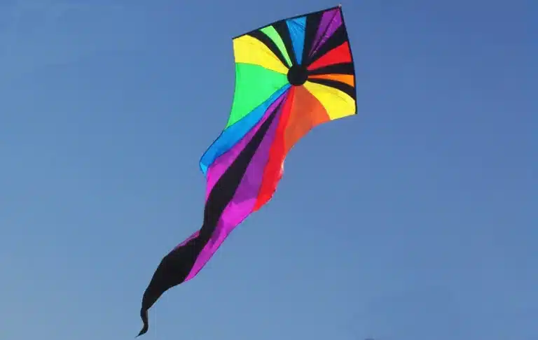 Cerf-volant delta rainbow 5