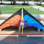 Cerf-volant delta multicolore 5