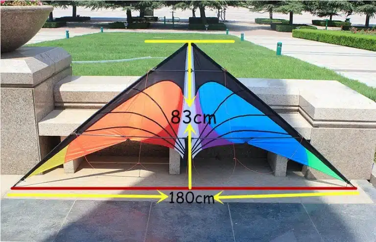 Cerf-volant delta multicolore 5