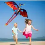 Cerf-volant dragon monofil 3