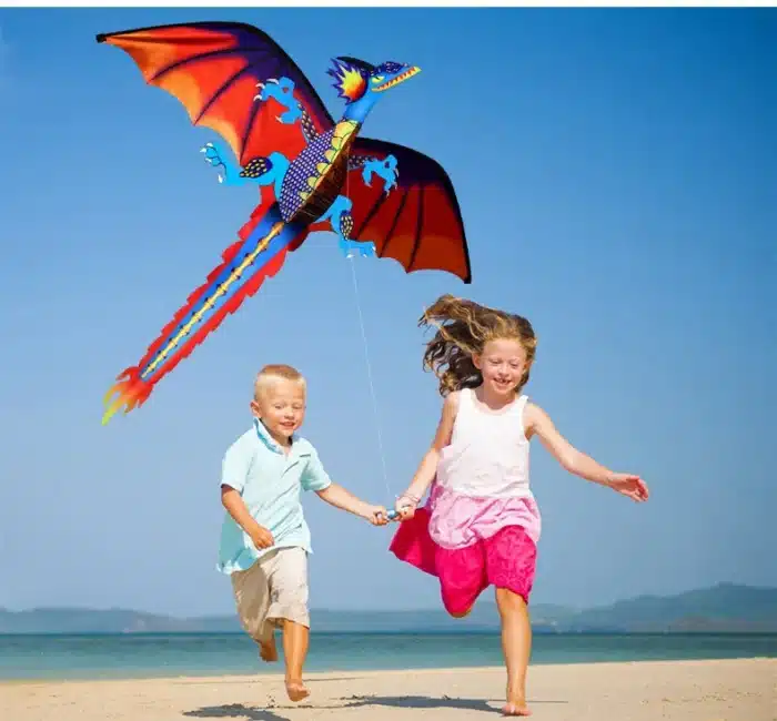 Cerf-volant dragon monofil 3