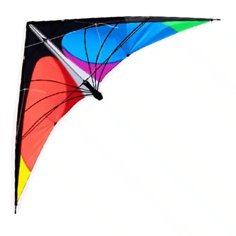 Cerf-volant delta multicolore 3