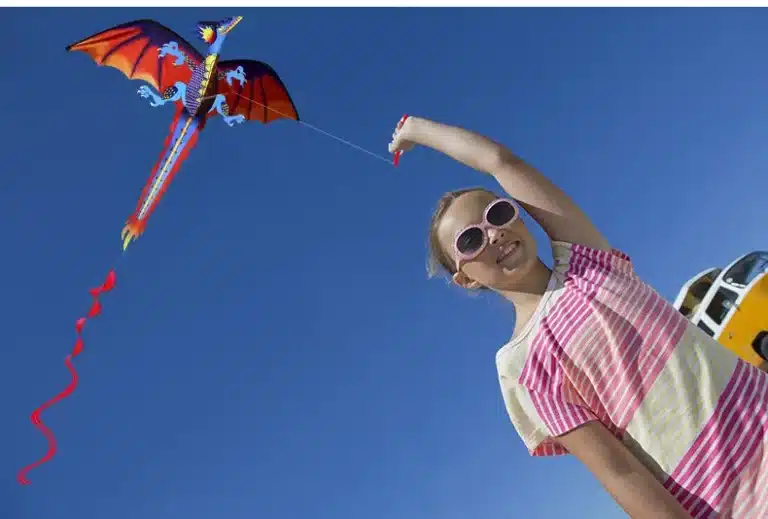 Cerf-volant dragon monofil 8