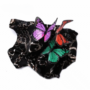 Apparition papillons