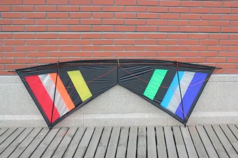 Cerf-volant professionnel adulte 8