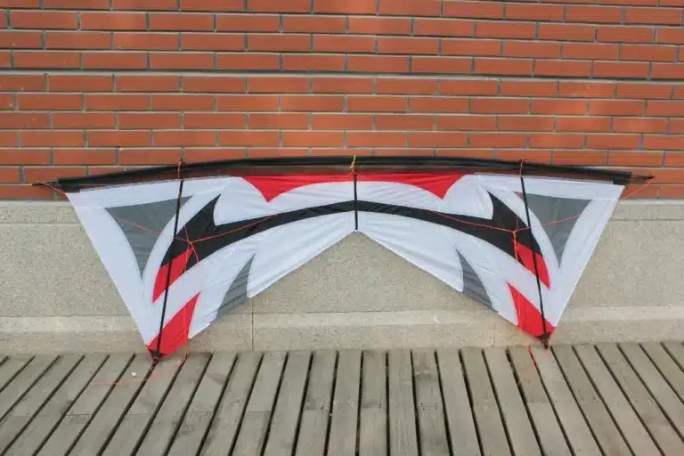 Cerf-volant professionnel adulte 10