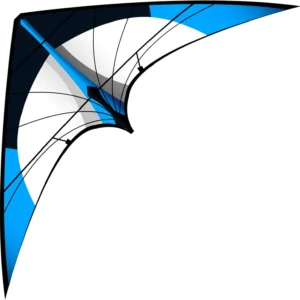 Cerf-volant delta bleu 2