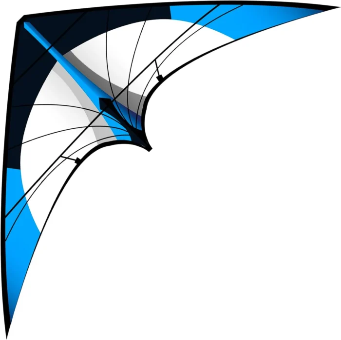 Cerf-volant delta bleu 2
