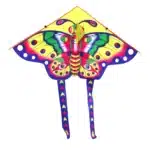 Cerf-volant delta papillon enfant 5