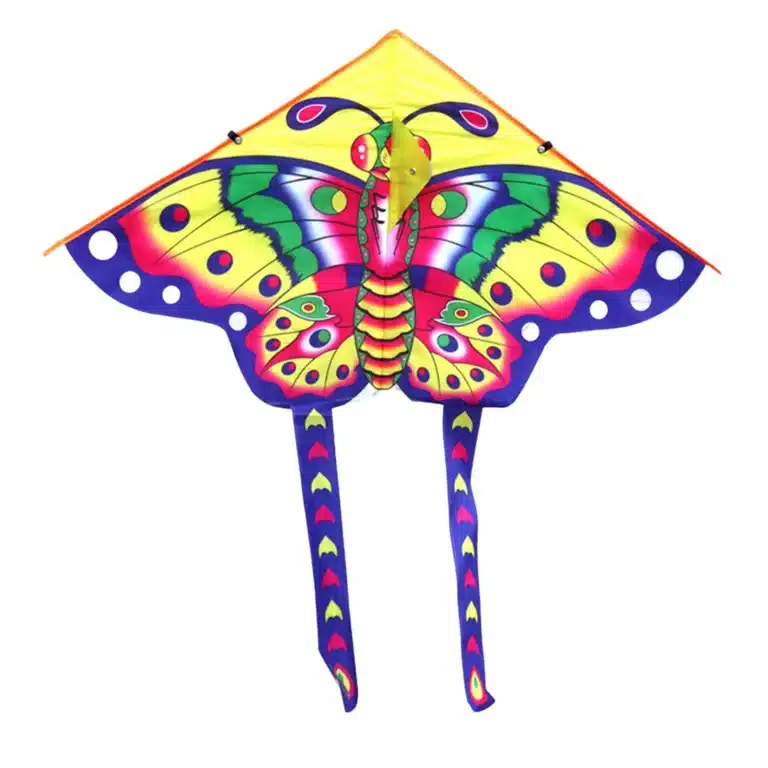 Cerf-volant delta papillon enfant 5