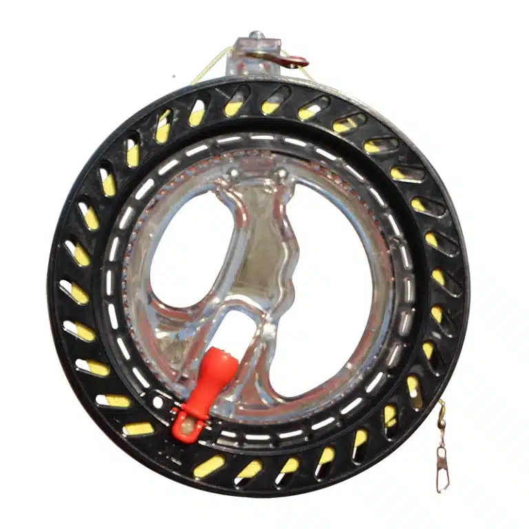 Cerf-volant poisson japonais 6