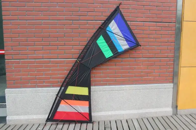 Cerf-volant professionnel adulte 9