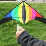 Cerf-volant delta 2.2m 8