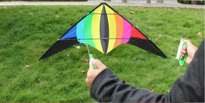 Cerf-volant delta 2.2m 8