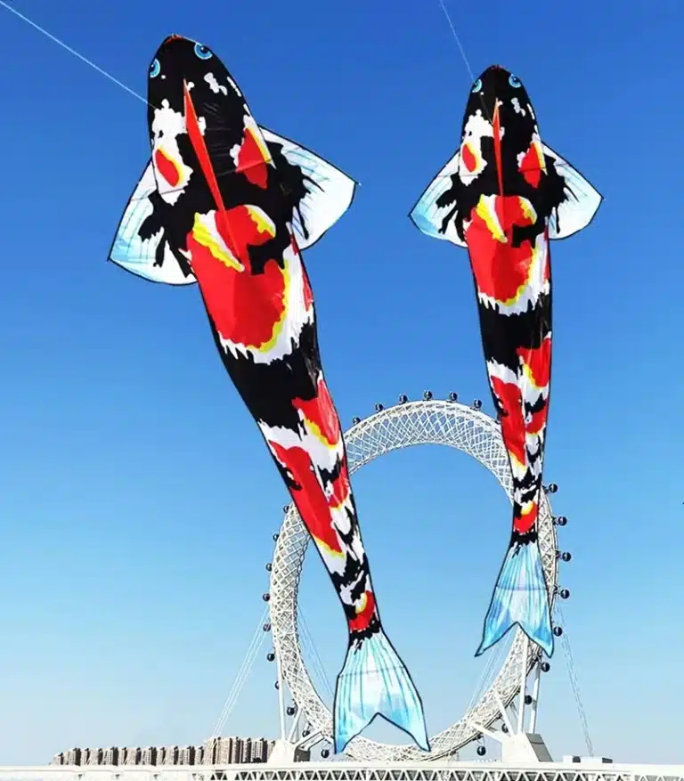 Cerf-volant poisson japonais 5