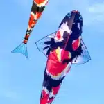 Cerf-volant poisson japonais 14