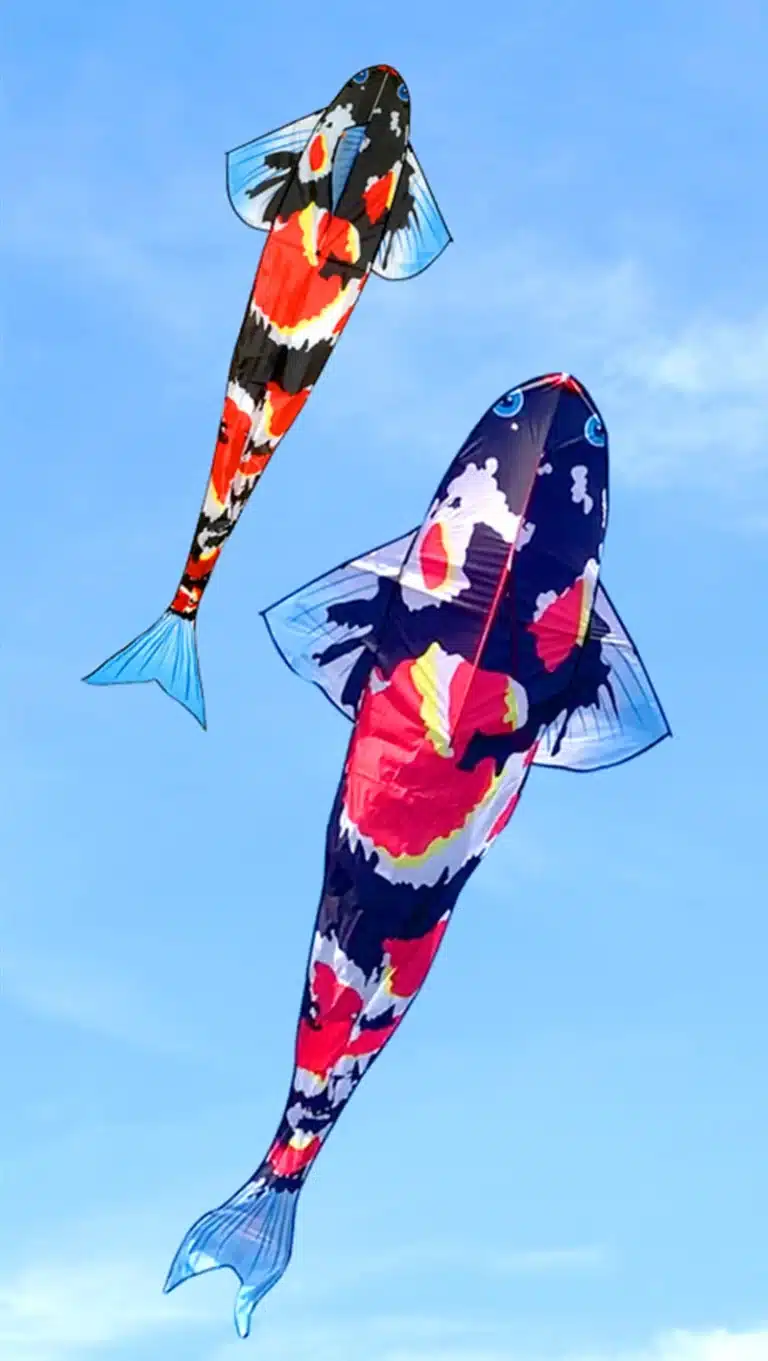 Cerf-volant poisson japonais 14