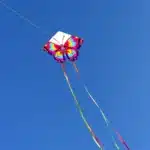 Cerfs-volants papillons colorés (lot de 2) 3
