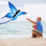 Cerf-volant papillon bleu 6