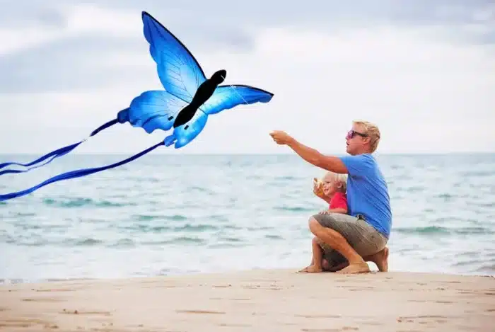 Cerf-volant papillon bleu 6
