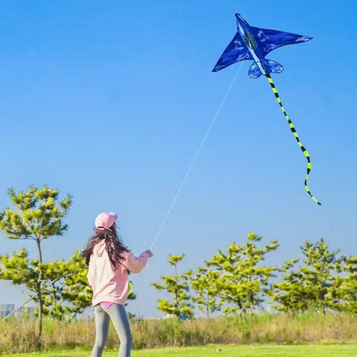 Cerf-volant avion enfant 2