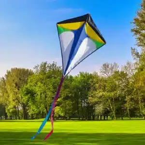 Cerf-volant diamant monoligne 1