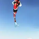 Cerf-volant poisson japonais 3