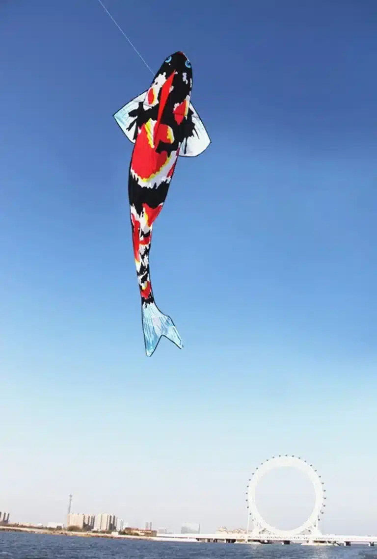 Cerf-volant poisson japonais 3