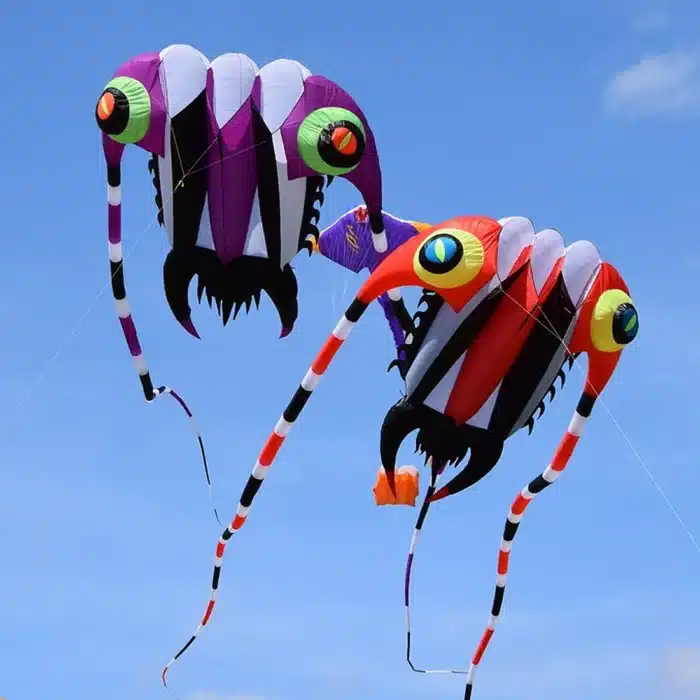 Grand cerf-volant trilobite 6