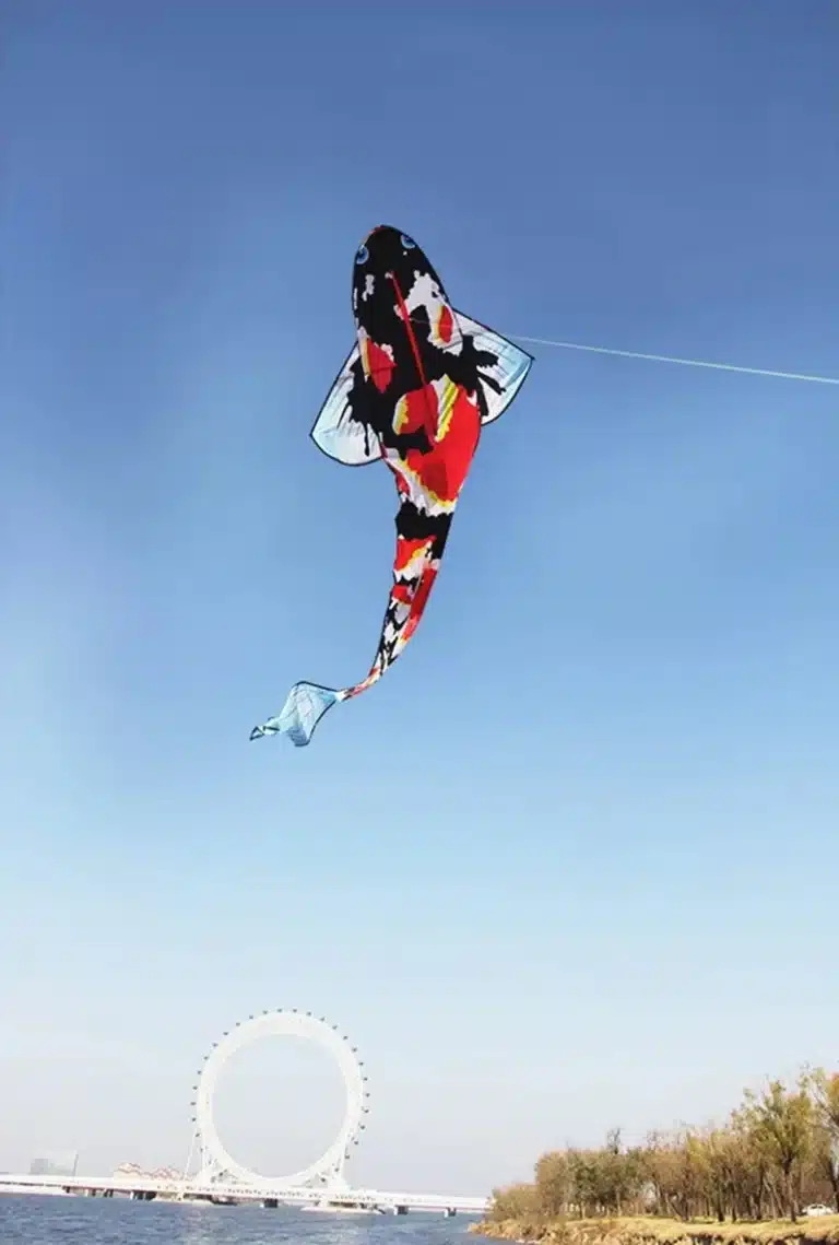 Cerf-volant poisson japonais 4