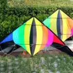 Cerf-volant delta 2.2m 4