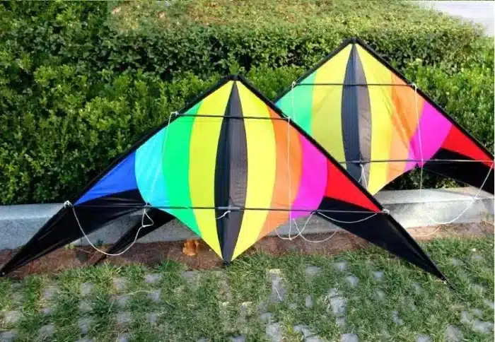 Cerf-volant delta 2.2m 4