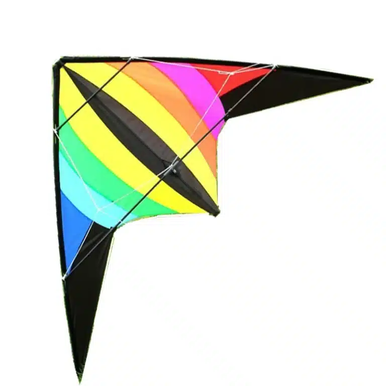Cerf-volant delta 2.2m 2