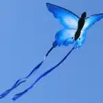 Cerf-volant papillon bleu 3