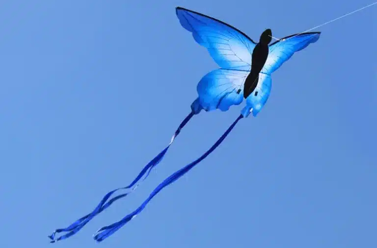 Cerf-volant papillon bleu 3