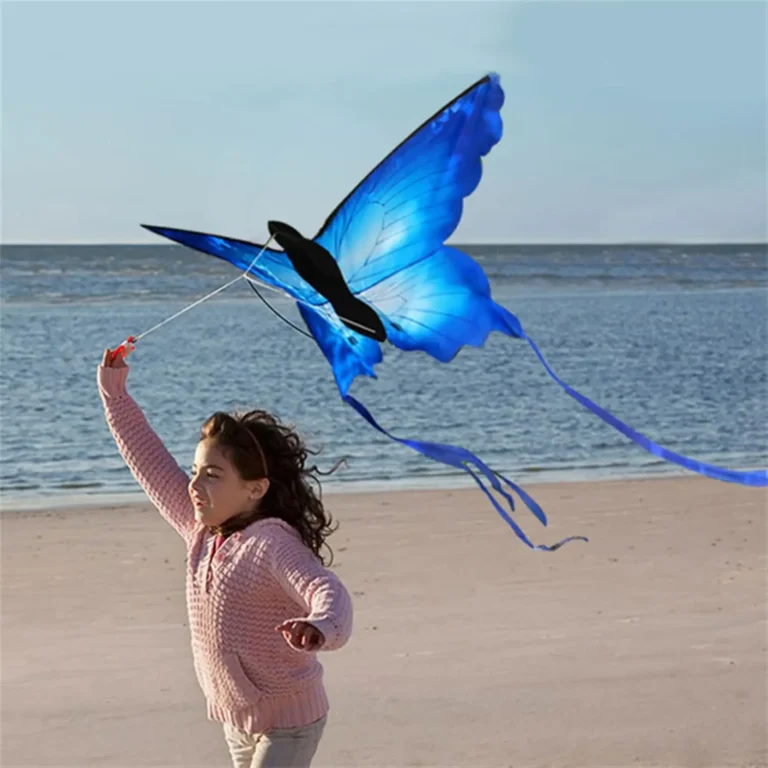 Cerf-volant papillon bleu 1