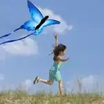 Cerf-volant papillon bleu 5