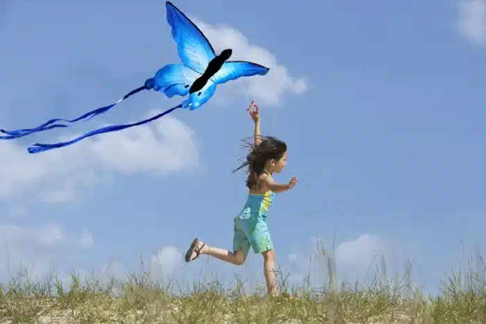 Cerf-volant papillon bleu 5