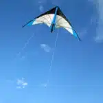 Cerf-volant delta bleu 3