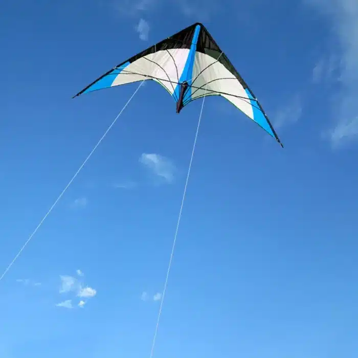 Cerf-volant delta bleu 3