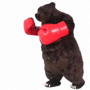 Mascotte ours boxeur