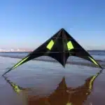 Cerf-volant acrobatique professionnel 1