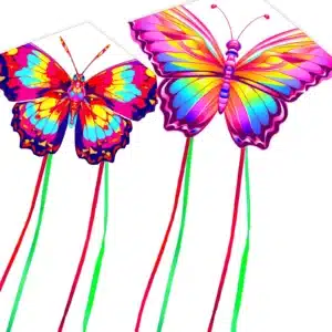 Cerfs-volants papillons colorés (lot de 2) 1