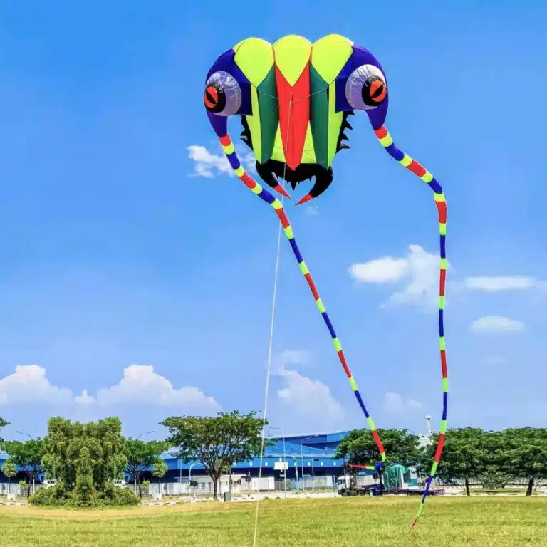 Grand cerf-volant trilobite 23