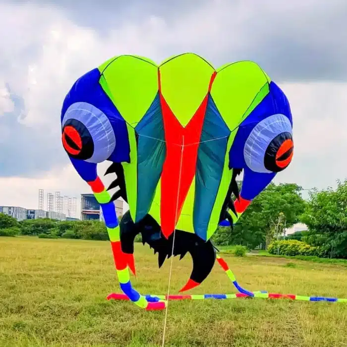 Grand cerf-volant trilobite 5