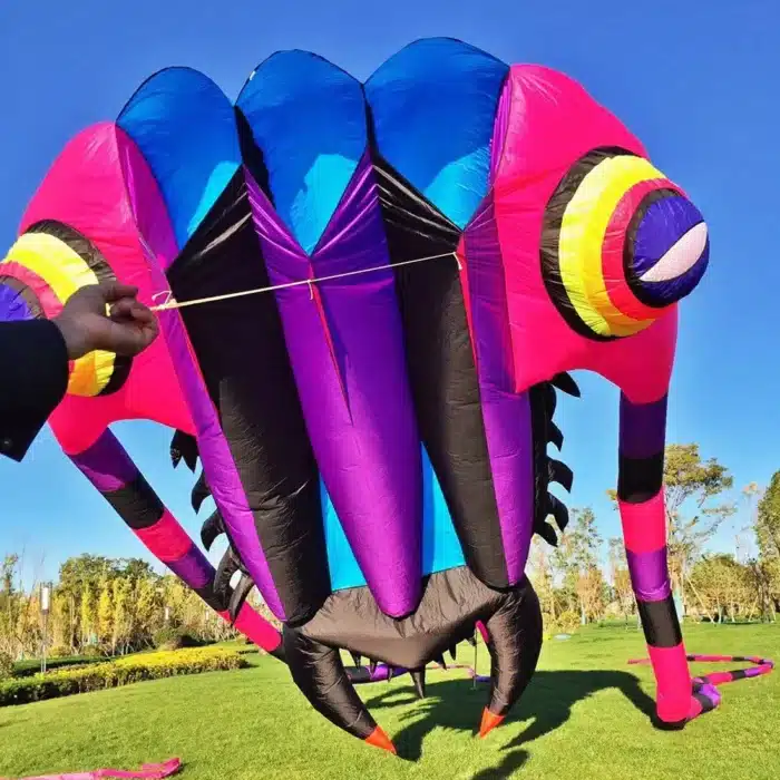 Grand cerf-volant trilobite 4