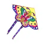 Cerf-volant delta papillon enfant 6
