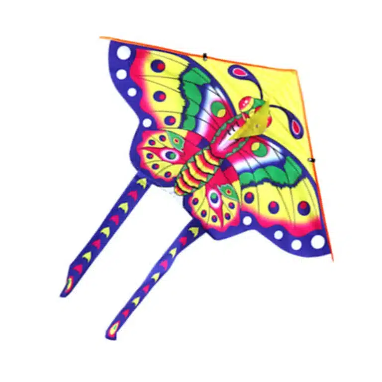 Cerf-volant delta papillon enfant 6