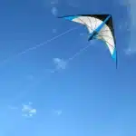 Cerf-volant delta bleu 4