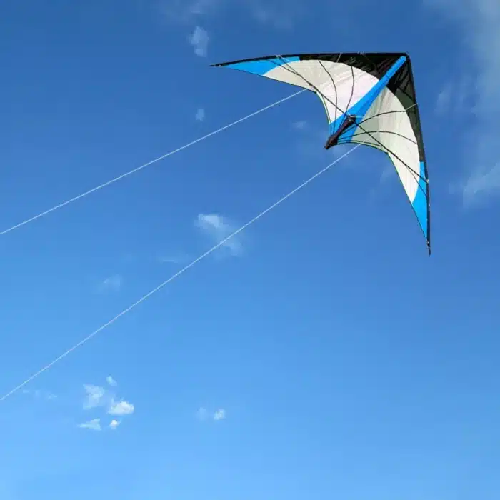 Cerf-volant delta bleu 4